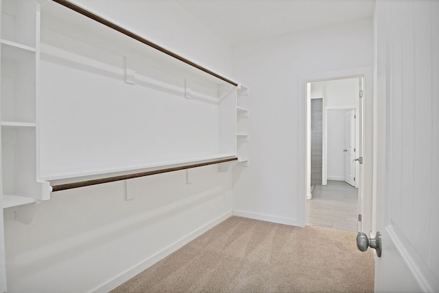 spacious closet featuring light carpet