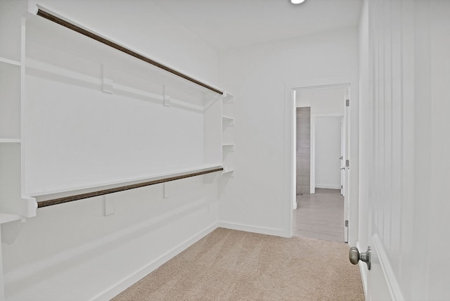 spacious closet featuring light carpet