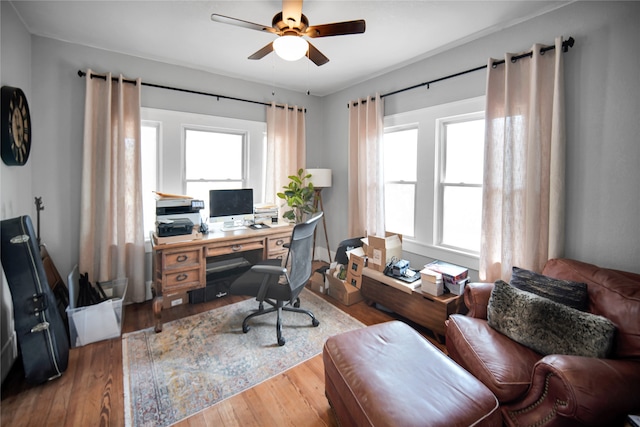 office area featuring wood-type flooring and ceiling fan