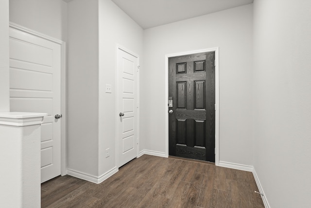 foyer featuring dark wood-type flooring