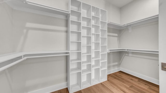 walk in closet featuring hardwood / wood-style floors