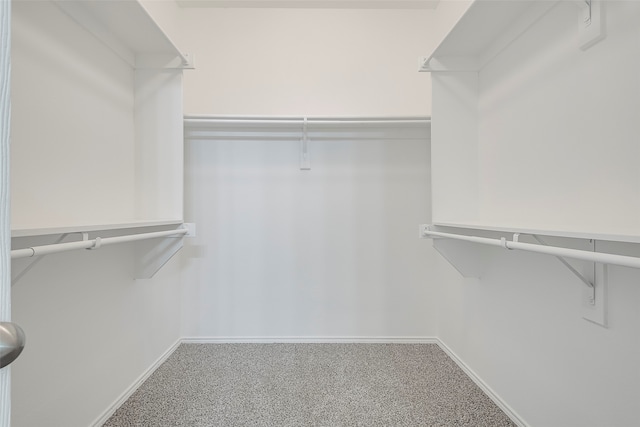 walk in closet featuring carpet flooring