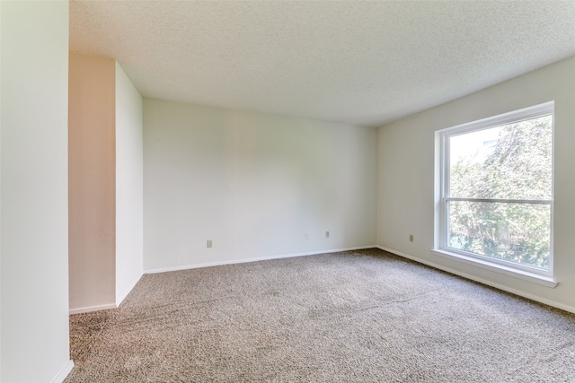 unfurnished room featuring light carpet and a textured ceiling