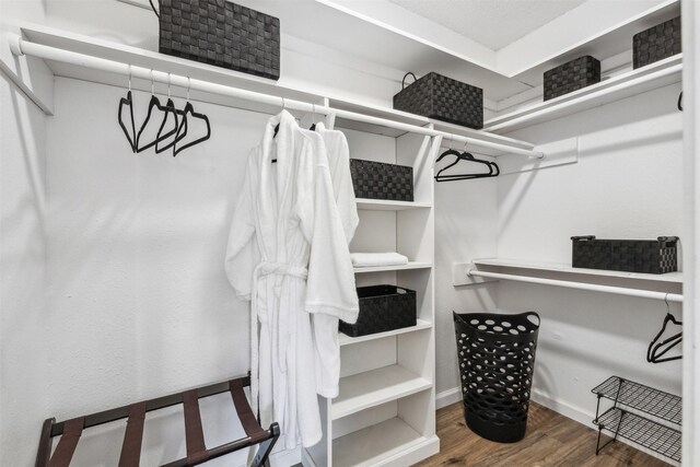 spacious closet featuring dark hardwood / wood-style flooring