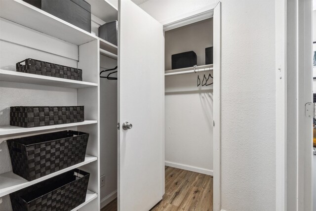 spacious closet featuring wood-type flooring