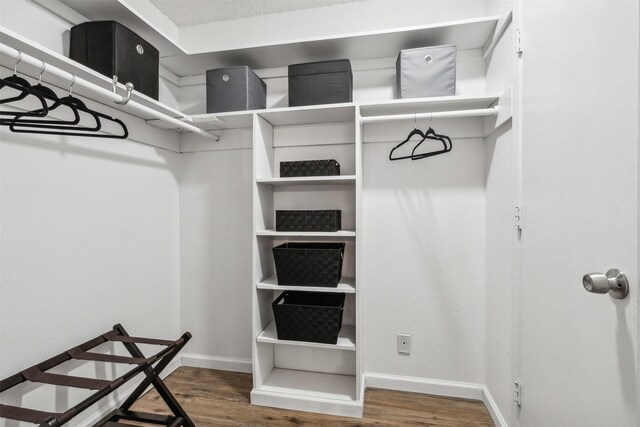 walk in closet featuring hardwood / wood-style floors