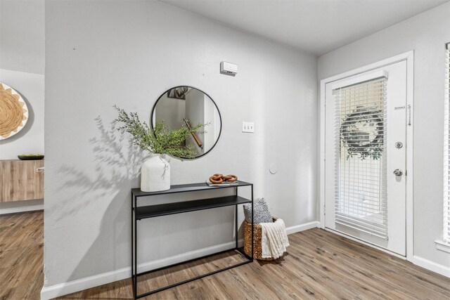 foyer with hardwood / wood-style floors