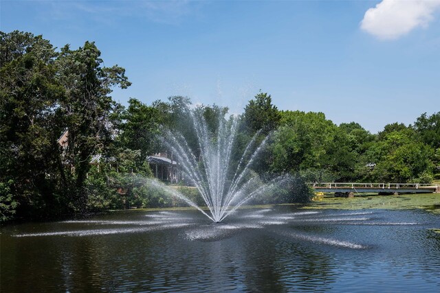 view of water feature