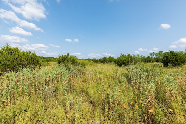 TBD County Road 207, Ovalo TX, 79541 land for sale