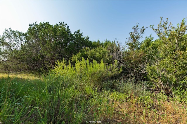 Listing photo 2 for TBD County Road 207, Ovalo TX 79541