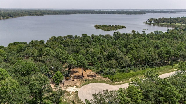 3272 Shadow Pine Dr, Larue, TX 75770