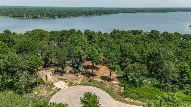 Listing photo 3 for 3272 Shadow Pine Dr, Larue TX 75770