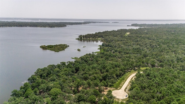 3272 Shadow Pine Dr, Larue, TX 75770