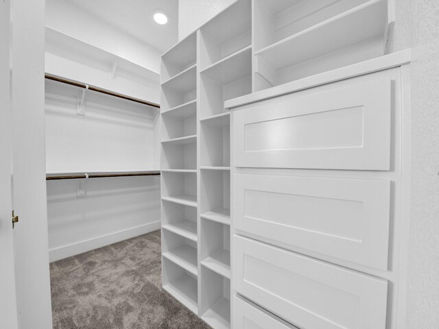 spacious closet with light colored carpet