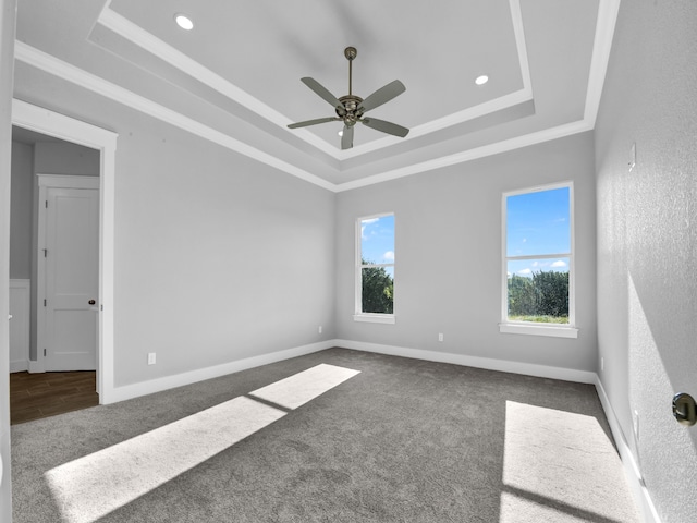 carpeted empty room featuring a raised ceiling, ceiling fan, and ornamental molding