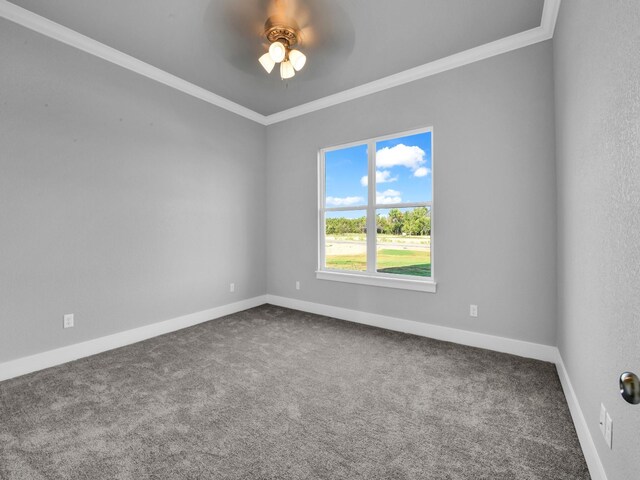 carpeted spare room with ceiling fan and ornamental molding