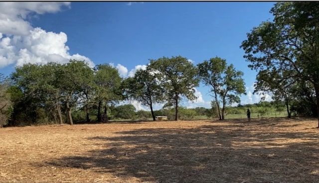 TBD Cr 2030, Glen Rose TX, 76043 land for sale