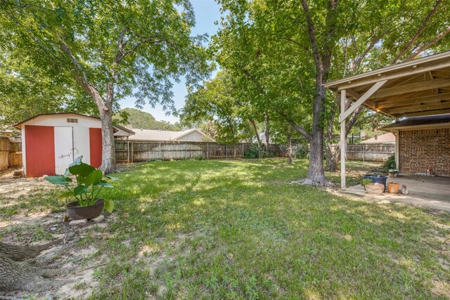 view of yard featuring a storage shed