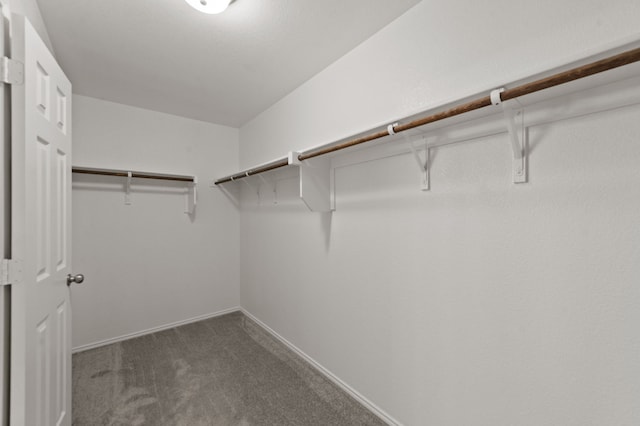 walk in closet with carpet