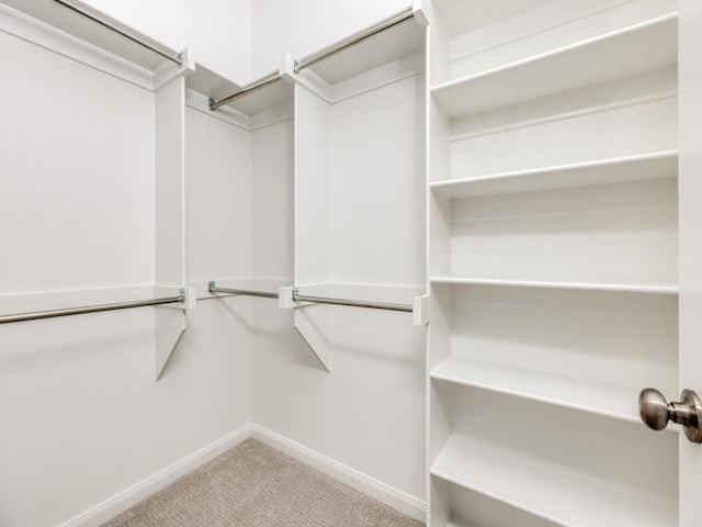 walk in closet with light carpet