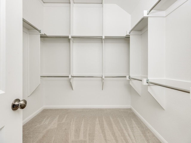 walk in closet with light carpet