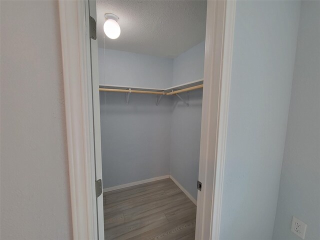 walk in closet featuring hardwood / wood-style floors