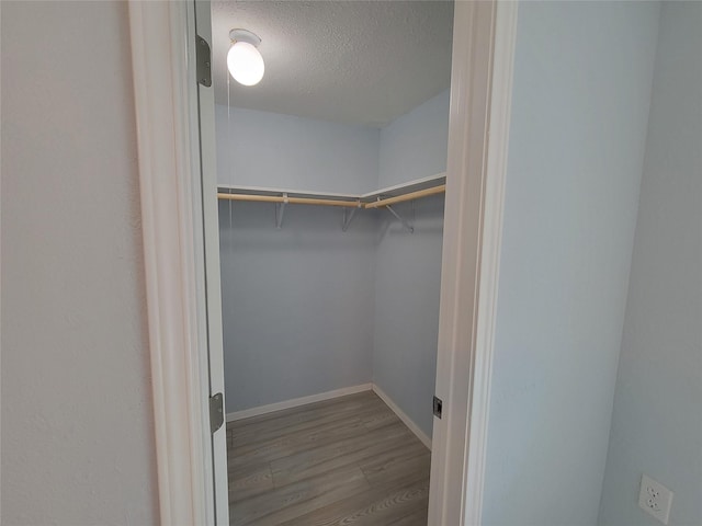 spacious closet with light wood-type flooring