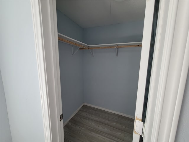 spacious closet with dark hardwood / wood-style flooring