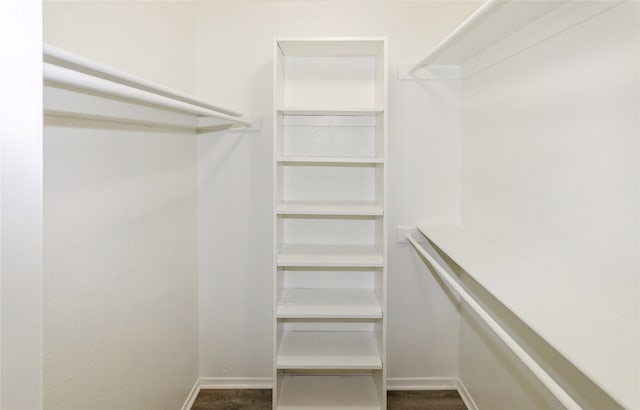 walk in closet featuring dark hardwood / wood-style flooring