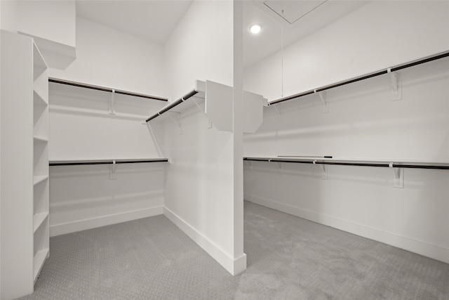 walk in closet featuring light colored carpet