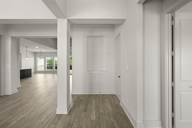 interior space with dark hardwood / wood-style flooring