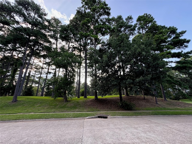 Listing photo 2 for 0 Loch Ridge Dr, Shreveport LA 71106