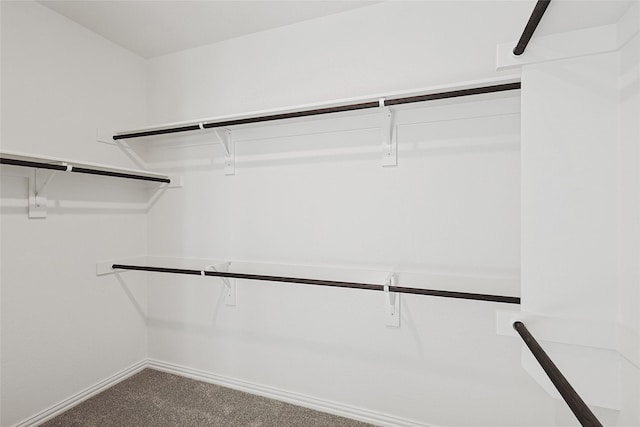 spacious closet with carpet floors