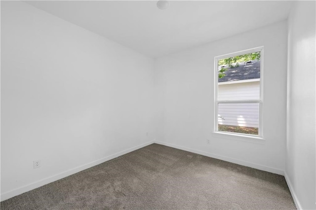 unfurnished room featuring carpet flooring and plenty of natural light