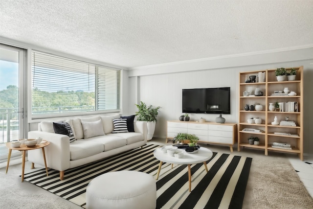 living room with ornamental molding and a textured ceiling