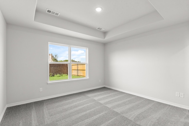 carpeted empty room featuring a raised ceiling