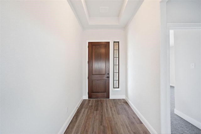 entryway with wood-type flooring and a raised ceiling