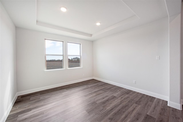 empty room featuring a raised ceiling and hardwood / wood-style floors