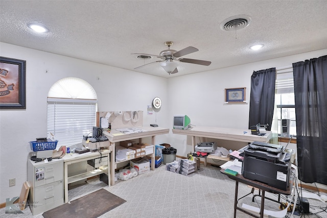 carpeted office space featuring a textured ceiling, a healthy amount of sunlight, and ceiling fan