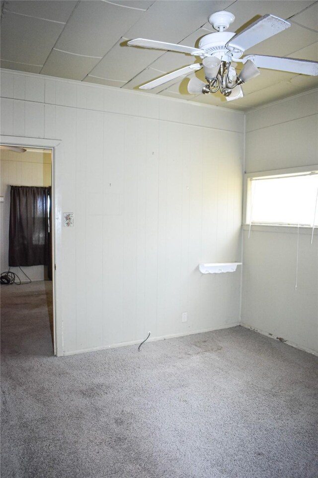 carpeted spare room with ceiling fan and a drop ceiling