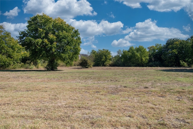 view of yard with a rural view