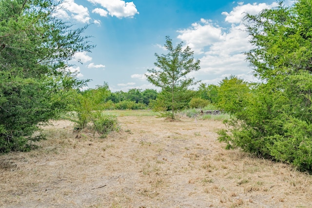 view of nature