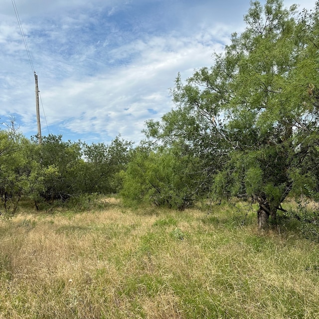 Listing photo 2 for TRACT18 County Road 150, Abilene TX 79601