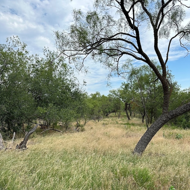 Listing photo 3 for TRACT18 County Road 150, Abilene TX 79601