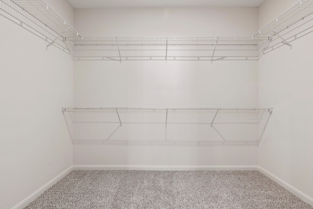 spacious closet with carpet