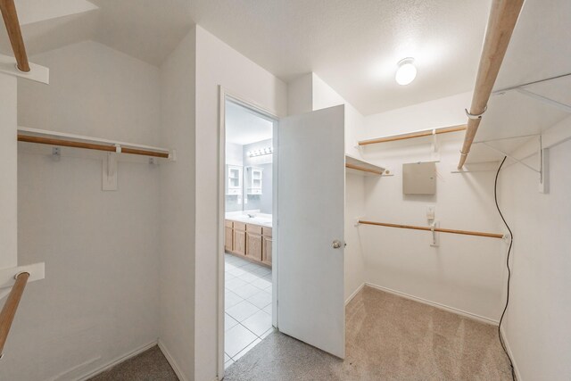 spacious closet featuring light carpet