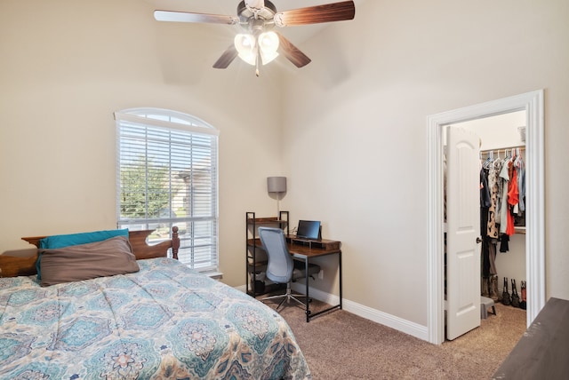 bedroom featuring a spacious closet, carpet, ceiling fan, and a closet