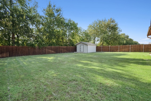 view of yard featuring a storage unit