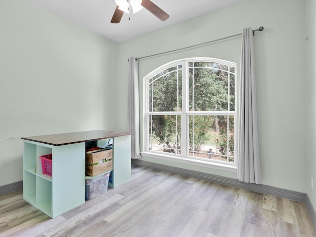 unfurnished office featuring light hardwood / wood-style floors and ceiling fan