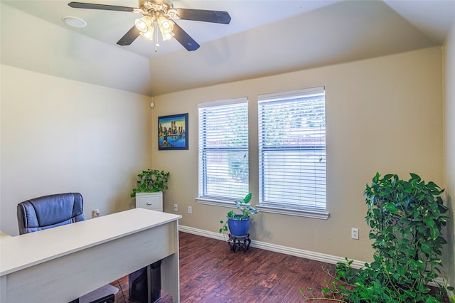 office featuring ceiling fan and dark hardwood / wood-style floors